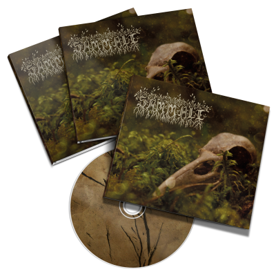 Sammale - "Sammale" 6-Panel DigiPak CDr