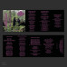 Astral Alchemy - "Weaving Chilling Magical Dreamworlds" Cassette [lim.]