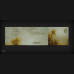 I, of the Trees and Wind - "Cry of the Forest" 6-Panel DigiPak CD