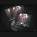 Aara - "So fallen alle Tempel" DigiPak CD
