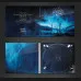 Skyborne Reveries - "Winter Lights" DigiPak CD