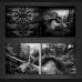 Calcarata - "Der müde Mensch" DigiPak CD