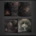 Firienholt - "Night Eternal" Jewelcase CD