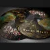 Sorceröt - "Rotten Magick" A5-DigiPak CD [lim.]