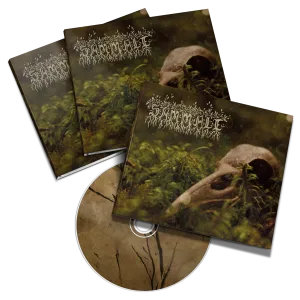 Sammale - "Sammale" 6-Panel DigiPak CDr